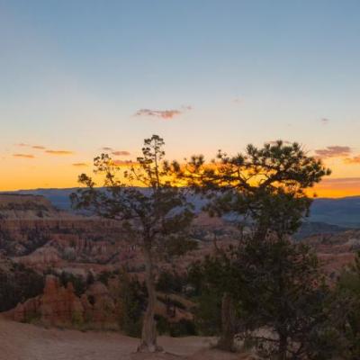 Bryce National Park