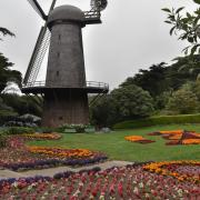 Dutch Windmill