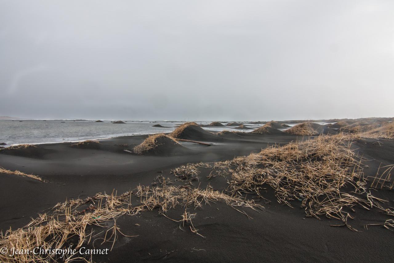 le cap de Stokksness, Islande