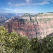 Panorama depuis le Grand Canyon North Rim